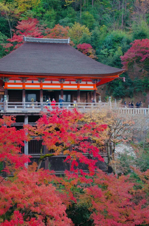 a pagoda sitting on top of a lush green hillside, by Torii Kiyomasu, unsplash, sōsaku hanga, colorful autumn trees, square, pink, fujicolor photo