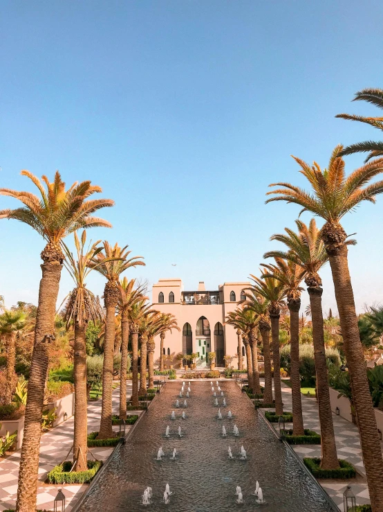 a long walkway lined with palm trees next to a building, inspired by Riad Beyrouti, renaissance, overview, thumbnail, luxury castle, center