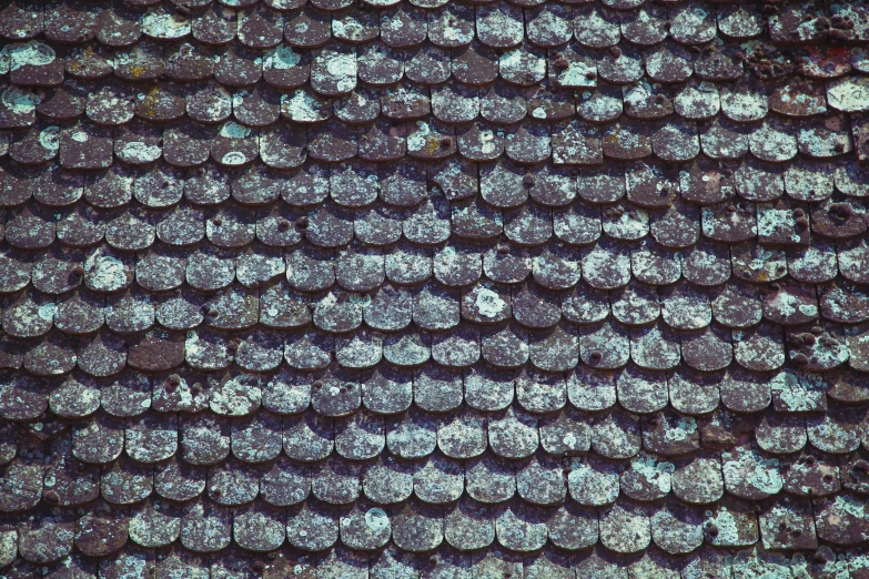 a close up of a roof with moss growing on it, a mosaic, by Carey Morris, unsplash, renaissance, vintage sci-fi soft grainy, blueish, panel of black, alternate album cover