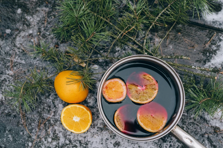 a pan filled with fruit sitting on top of a snow covered ground, drinking, ritual in a forest, orange slices, botanicals