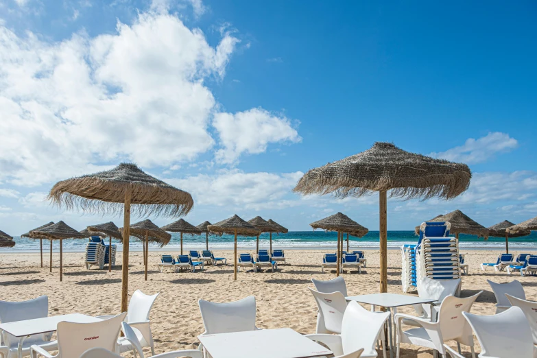 a number of chairs and umbrellas on a beach, arrendajo in avila pinewood, shiny crisp finish, white sand, thumbnail