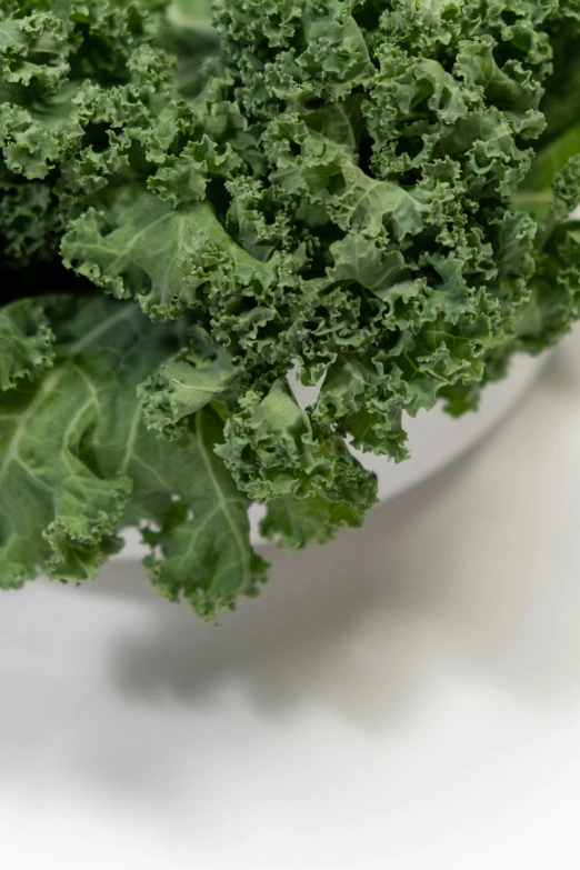 a close up of a bunch of kale on a table, renaissance, zoomed out view, product shot, crisp and clear, soup