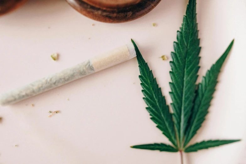 a marijuana leaf and a cigarette on a plate, inspired by Mary Jane Begin, trending on pexels, renaissance, pots with plants, on a botanical herbarium paper, thumbnail, glazed