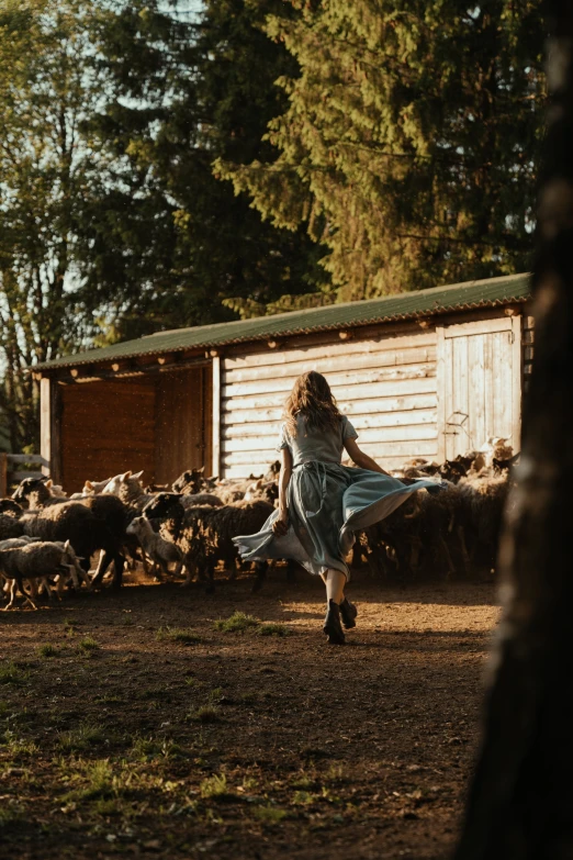 a woman standing in front of a herd of sheep, an album cover, by Peter Churcher, pexels contest winner, stood outside a wooden cabin, girl running, late afternoon light, whirling