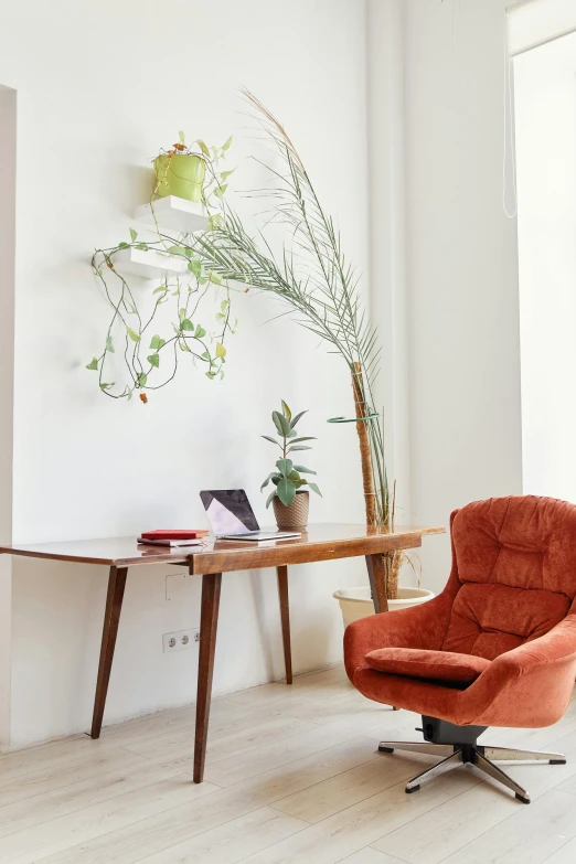 a chair and a table in a room, pexels contest winner, minimalism, green and red plants, home office, studio orange, white background