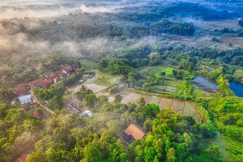 an aerial view of a village surrounded by trees, pexels contest winner, sumatraism, foggy morning light, background image, sri lanka, mayan temple in the jungle