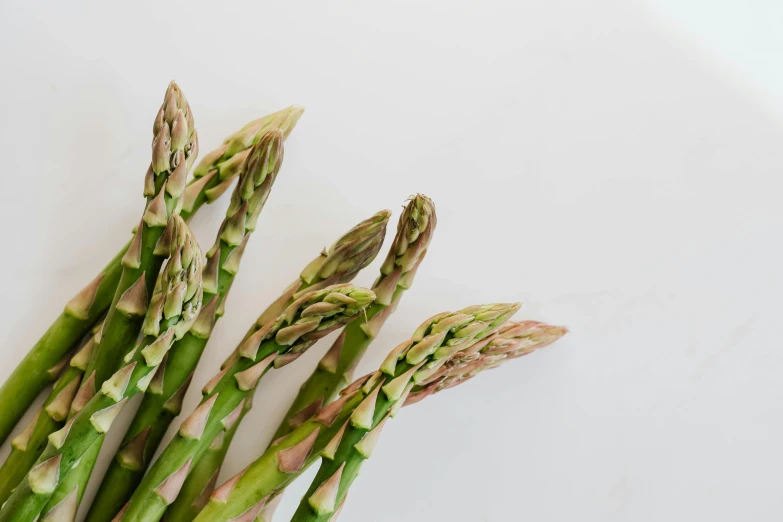 a bunch of green asparagus on a white surface, by Carey Morris, pexels, 🦩🪐🐞👩🏻🦳, side profile shot, family friendly, taken with sony alpha 9