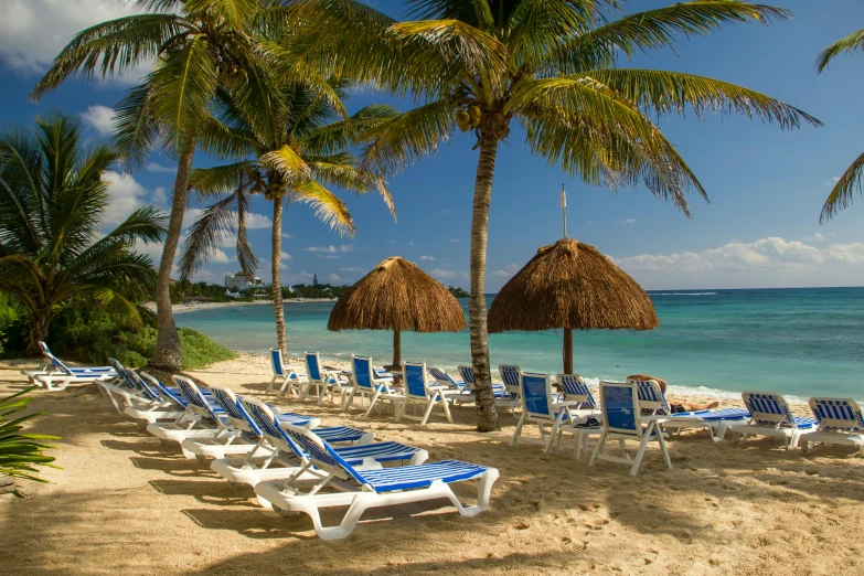 a group of lawn chairs sitting on top of a sandy beach, coconut trees, nina agdal, azure blue water