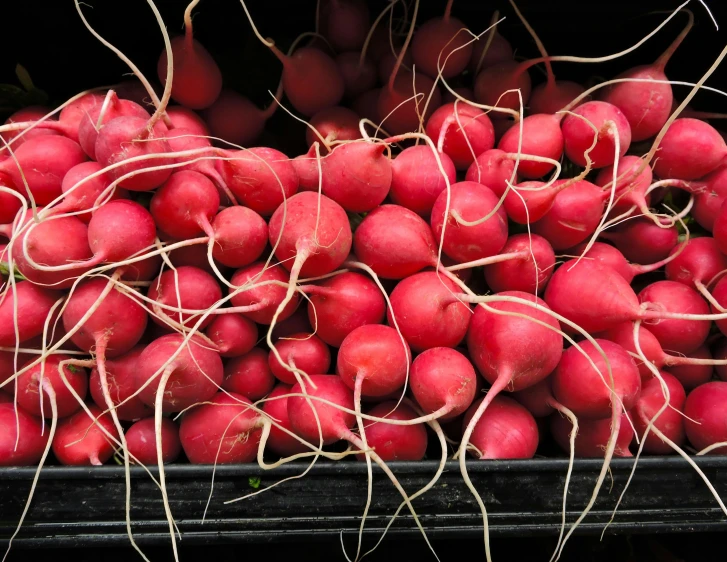 a pile of radishes sitting on top of each other, jeff lyons, noot noot, in rows, subtle detailing