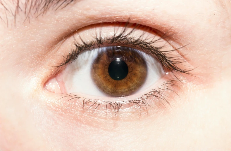 a close up of a person's brown eye, trending on pexels, gradient brown to white, brown haired, channeling third eye energy, close up to a skinny