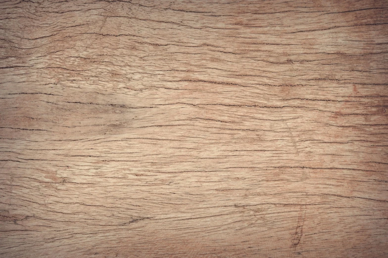 a close up of a wooden surface, by Andries Stock, unsplash, light brown, vintage shading, oak, high-resolution