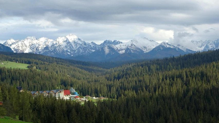 a herd of cattle grazing on top of a lush green hillside, by Emma Andijewska, pexels contest winner, : psychedelic ski resort, coniferous forest, transylvanian castle, thumbnail