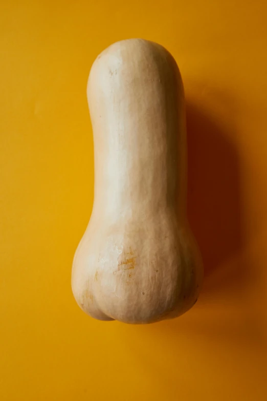 a butternut sitting on top of a yellow surface, inspired by Sarah Lucas, unsplash, white muzzle and underside, hegre, smooth shank, fleshscape