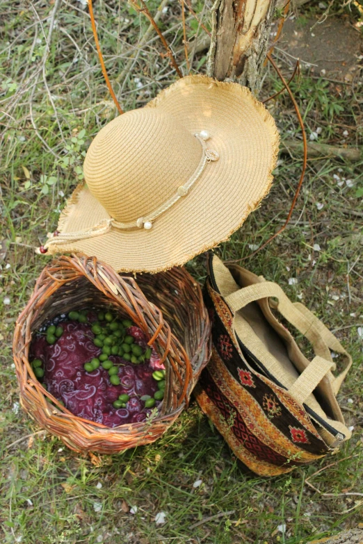 a couple of baskets sitting on top of a grass covered field, vine headdress, olives, overhead shot, with hat