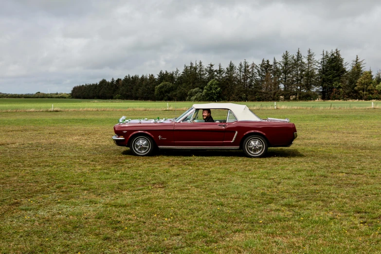 a red car sitting on top of a lush green field, mustang, manuka, convertible, profile image