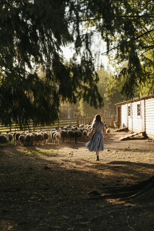 a woman standing in front of a herd of sheep, inspired by Elsa Bleda, unsplash contest winner, renaissance, stood outside a wooden cabin, girl running, late afternoon light, washington