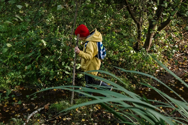 a person in a yellow jacket and a red hat, unsplash, overgrown vegetation, walking boy, humans exploring, splash image