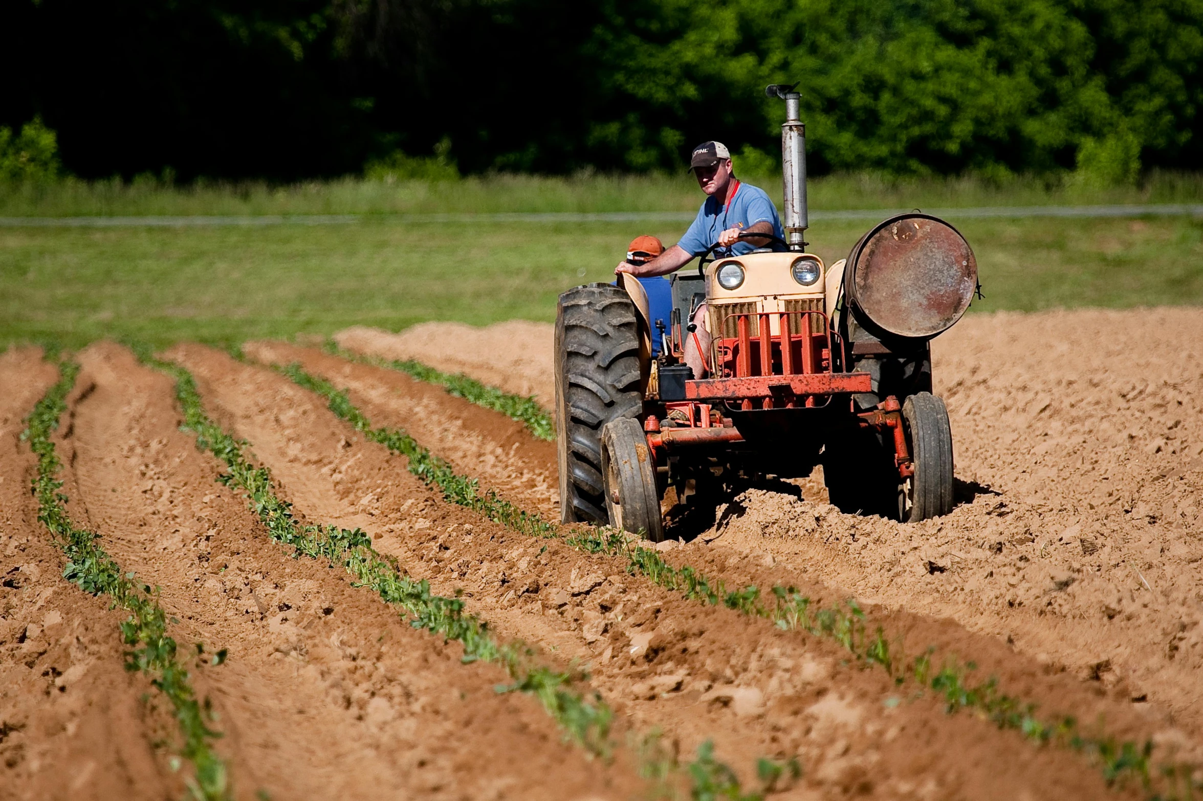 a man riding on the back of a tractor in a field, by Tom Bonson, full frame image, scientific photo, avatar image