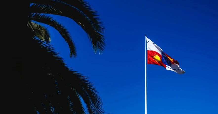 a flag flying in the wind next to a palm tree, unsplash, art nouveau, the texas revolution, square, chile, high-quality photo