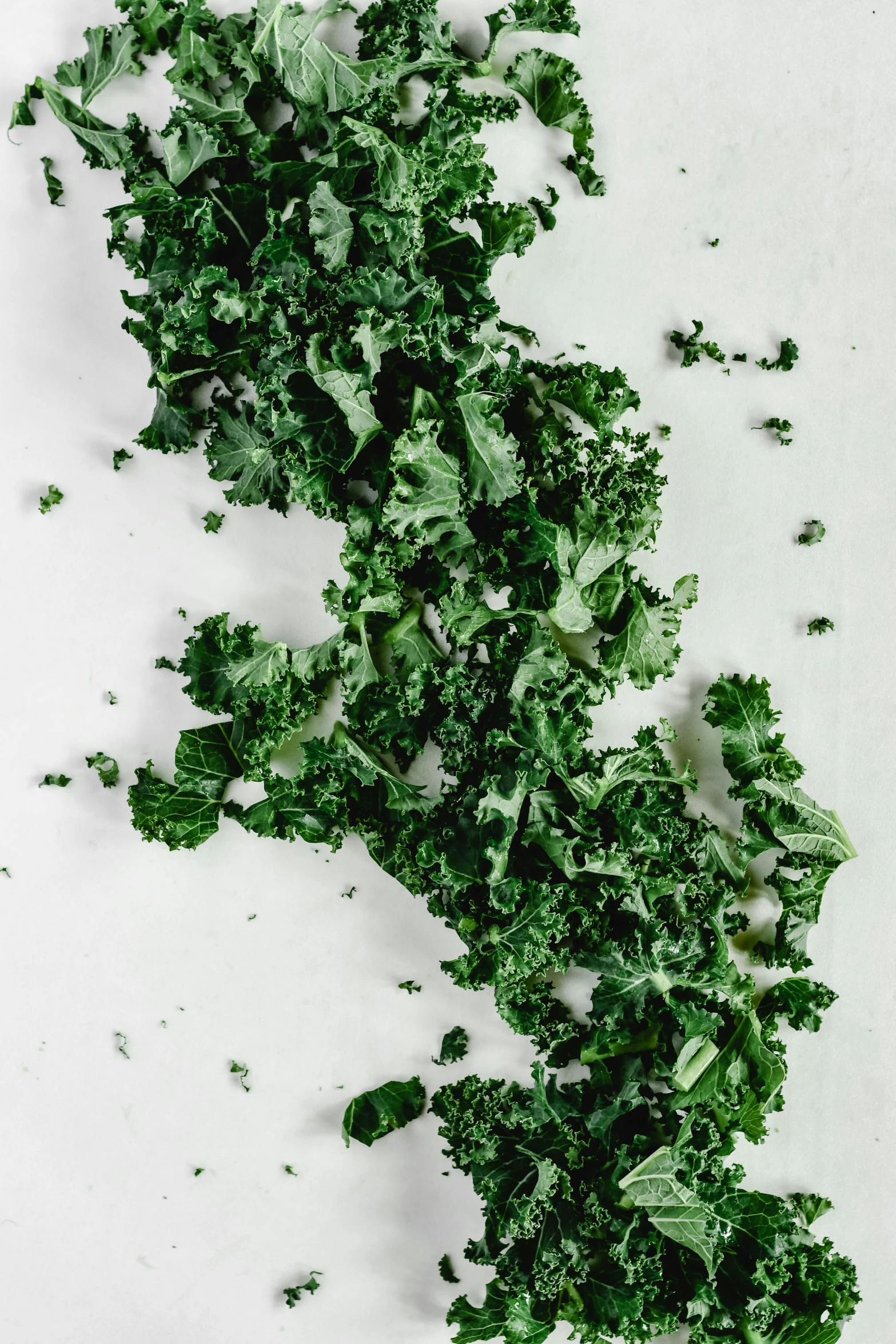 a pile of kale chips on a white surface, by Jesper Knudsen, trending on unsplash, ilustration, devastated, made of food, cut