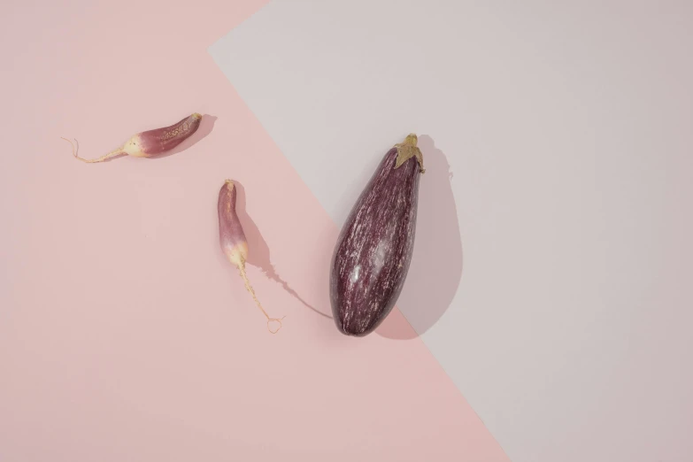an eggplant on a pink and white background, inspired by Jacopo Bellini, trending on pexels, magic realism, grey vegetables, play of light, female floating, entangled vibrating