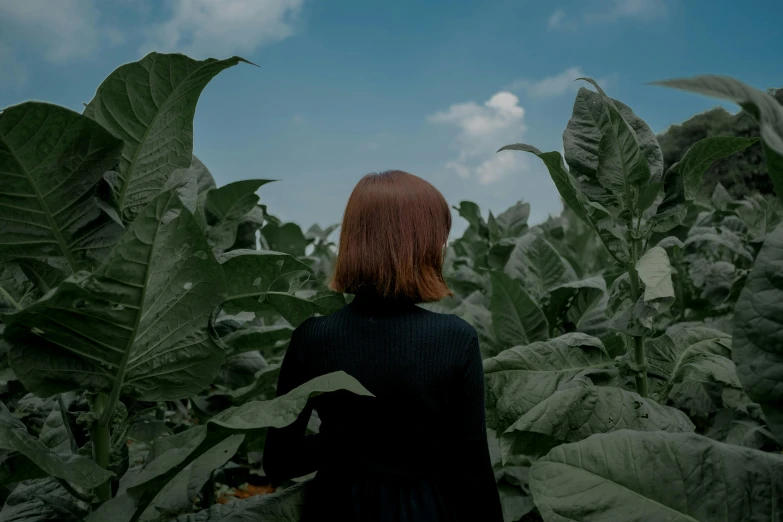 a woman standing in a field of tobacco leaves, pexels contest winner, facing away from the camera, background image, black, color footage