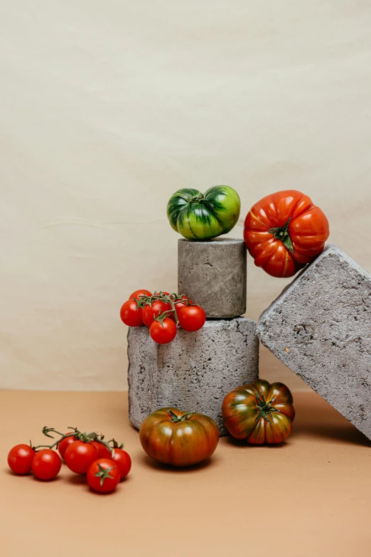 a bunch of tomatoes sitting on top of cement blocks, a still life, unsplash, in muted colors, organic shape, vibrantly lush, on clear background