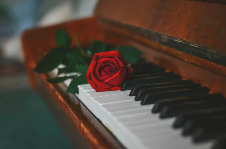 a red rose sitting on top of a piano, on a wooden table