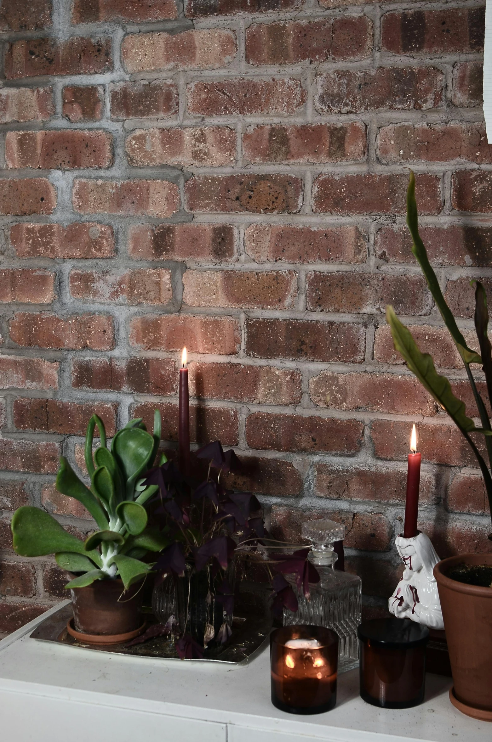 a brick wall with candles and potted plants, multicoloured, soft morning lighting, cottagecore, indoor lighting