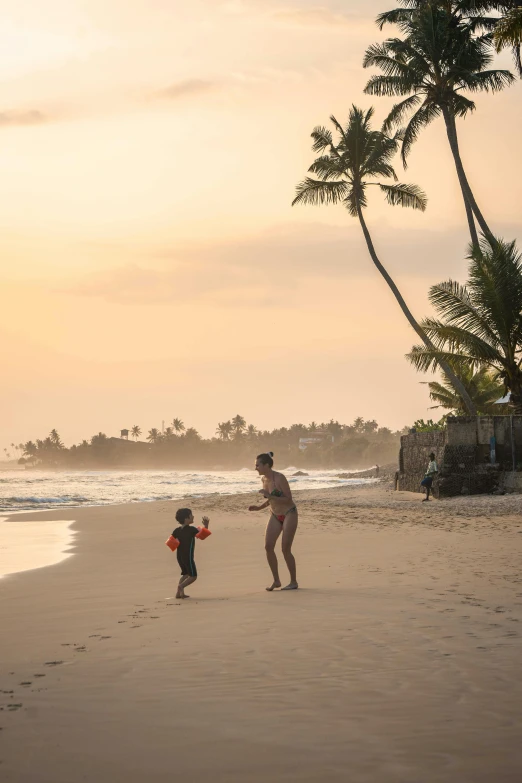 a man flying a kite on top of a sandy beach, with a kid, sri lanka, palm trees on the beach, sun setting