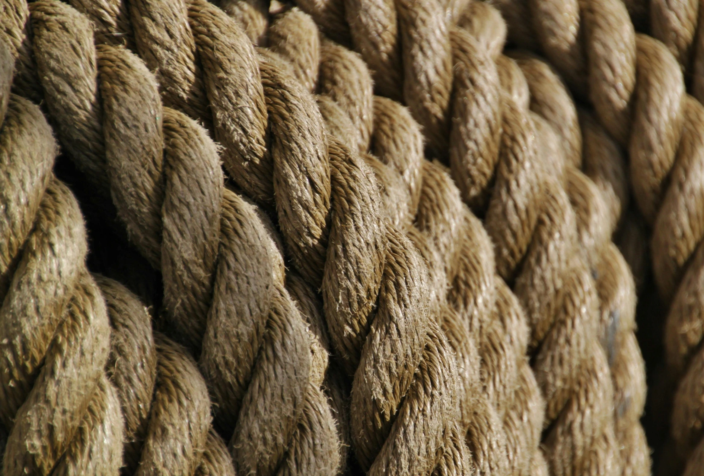 a close up of a rope on a boat, a digital rendering, by David Garner, renaissance, light brown, thumbnail, grain”