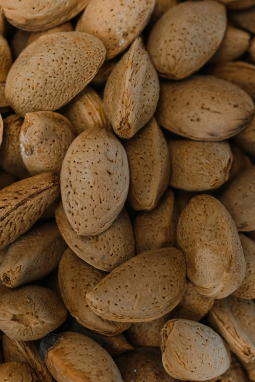 a pile of nuts sitting on top of a table, thumbnail, ultrawide image, brown almond-shaped eyes, digital image