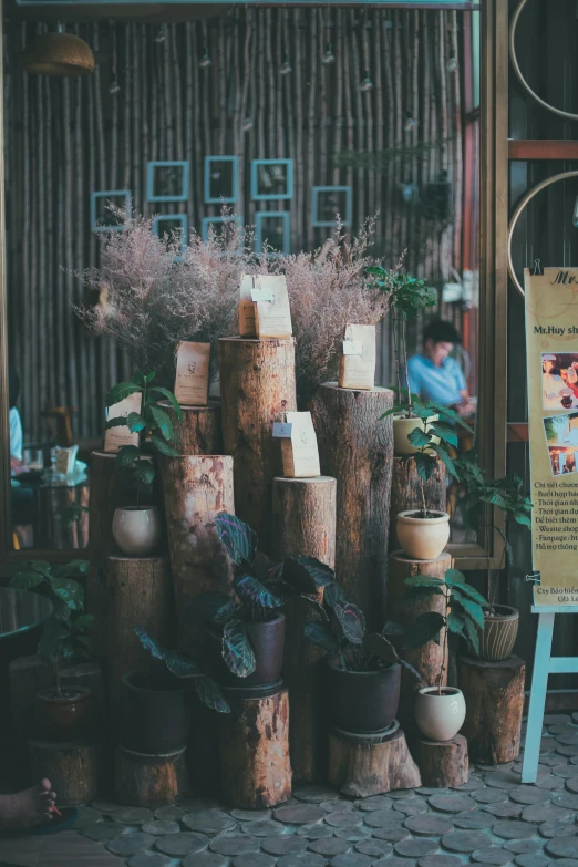 a number of potted plants in front of a building, a picture, by Yosa Buson, trending on unsplash, wooden decoration, coffee shop, pillars, low quality photo