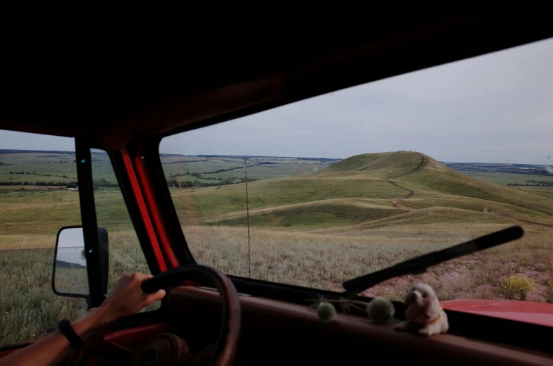 a dog that is sitting in the driver's seat of a car, an album cover, by Pamela Ascherson, unsplash, visual art, grassy hills, badlands, red shell. dirt track, southern slav features