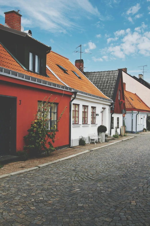 a cobblestone street lined with red and white houses, by Christen Dalsgaard, pexels contest winner, modernism, 🚿🗝📝, simple gable roofs, grainy vintage, square