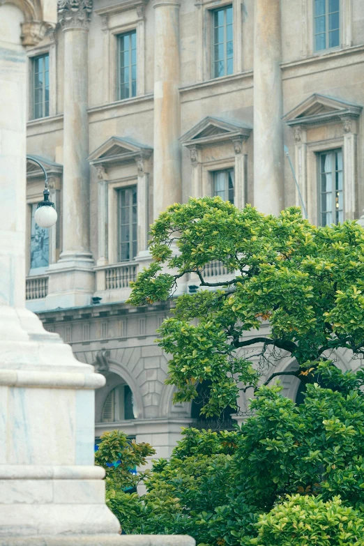 a statue of a man on a horse in front of a building, inspired by Raúl Martínez, neoclassicism, perched in a tree, view from a distance, capitol building, overhanging branches