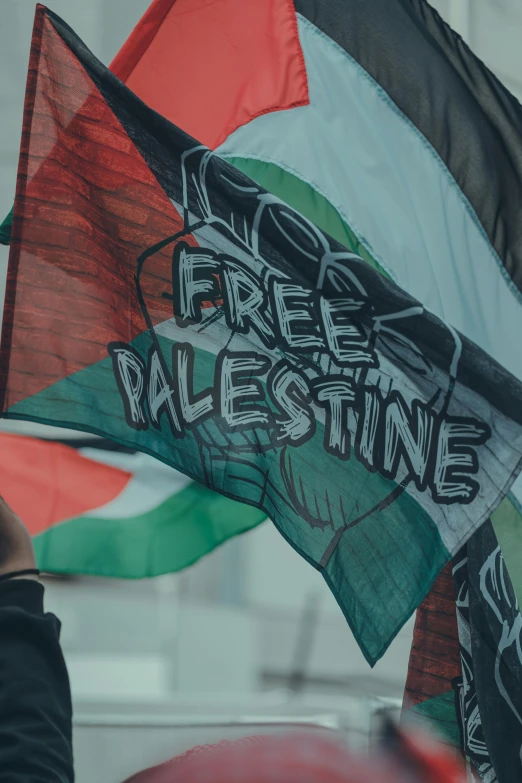 a person holding a flag that says free palestine, by Matija Jama, trending on unsplash, paul barson, lush, 🚿🗝📝, geometry