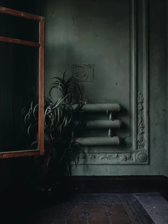 there is a potted plant in the corner of the room, inspired by Elsa Bleda, unsplash contest winner, smoke columns, scrollwork, low quality photo, wall ]