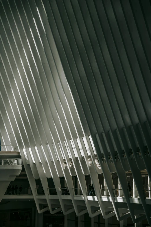 a black and white photo of the inside of a building, inspired by Zaha Hadid, trending on unsplash, steel blades, mta subway entrance, spines, crisp lines and color