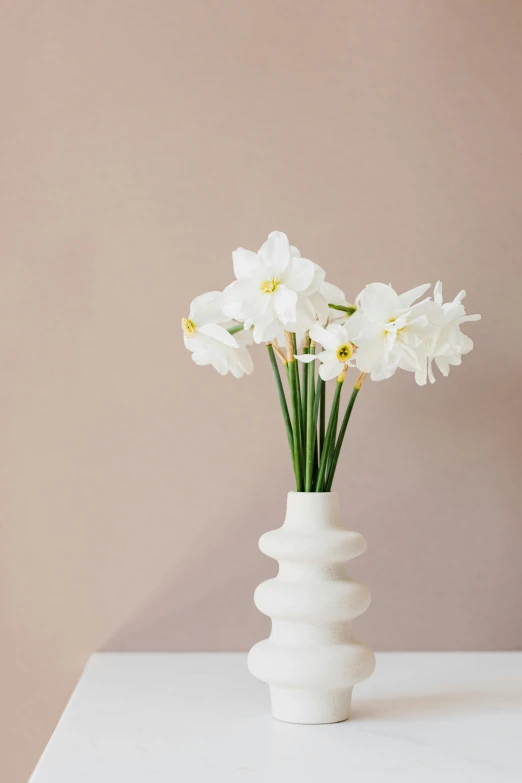 a white vase with some white flowers in it, unsplash, myth of narcissus, soft blush, studio product shot, ilustration