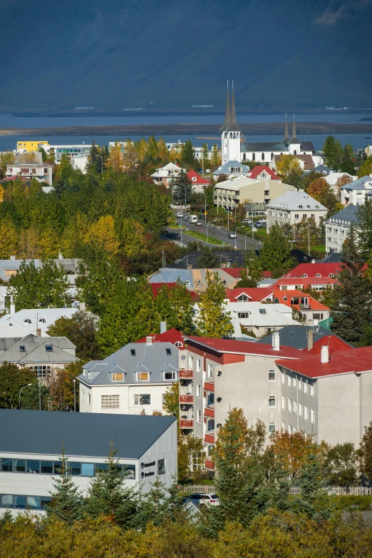 a view of a town from the top of a hill, by Hallsteinn Sigurðsson, unsplash, art nouveau, reykjavik junior college, square, late summer evening, ultra high pixel detail