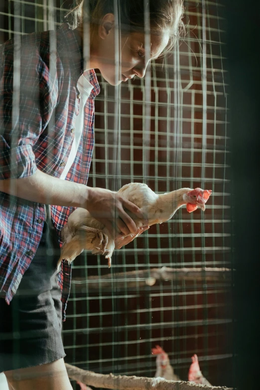 a woman feeding a chicken in a cage, by Jan Tengnagel, pexels, a photo of a man, scientific study, shaven, 15081959 21121991 01012000 4k