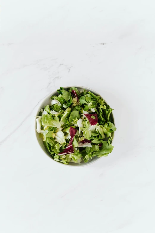 a close up of a bowl of food on a table, product image, lettuce, front facing, lightly dressed