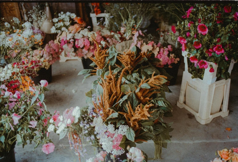 a bunch of flowers sitting on top of a cement floor, by Anna Findlay, trending on unsplash, renaissance, shop front, brown and pink color scheme, adorned with all kind of plants, many mech flowers