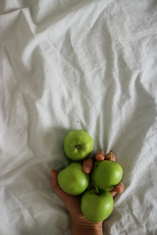 a hand holding a bunch of green apples, a still life, by Jessie Algie, mexico, ignant, on my bed, made of food