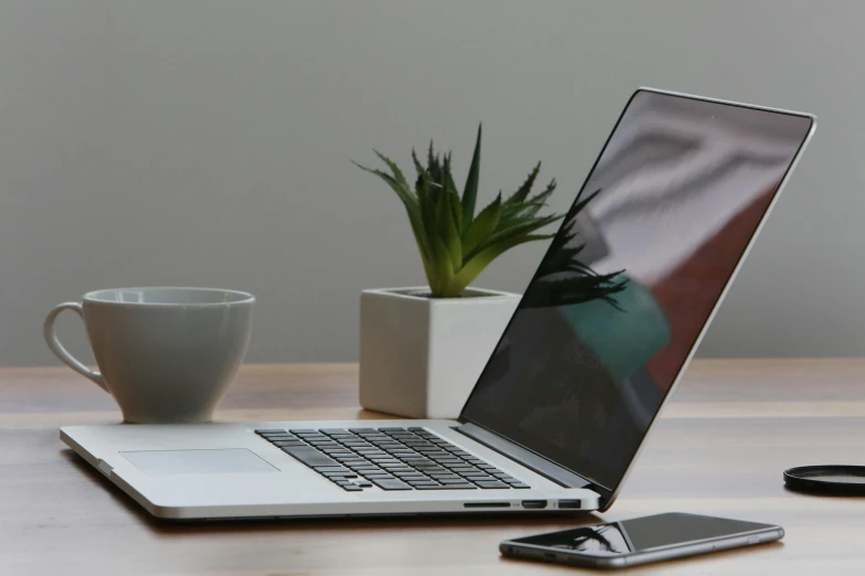 a laptop computer sitting on top of a wooden table, pexels, next to a plant, background image, various posed, sat in an office