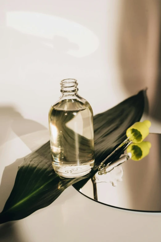 a bottle of liquid sitting on top of a glass table, by Nicolette Macnamara, unsplash, renaissance, orchid stems, skincare, monstera, flax