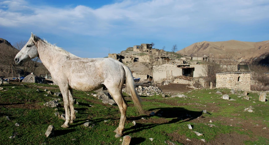 a white horse standing on top of a lush green field, by Muggur, ruined town, slide show, profile image