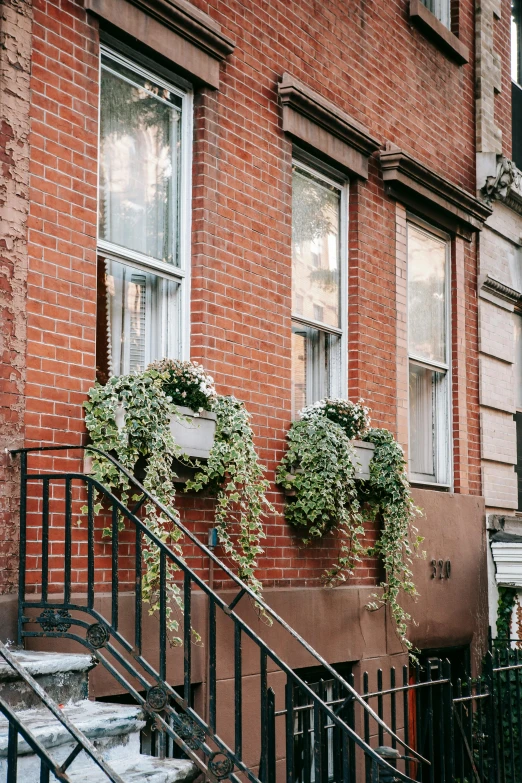 a fire hydrant sitting on the side of a brick building, by Nina Hamnett, trending on unsplash, hanging plants, bay window, new york back street, archways made of lush greenery