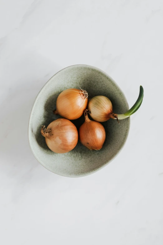 a bowl filled with onions on top of a table, by Kristin Nelson, on grey background, soft vinyl, organic, muted green